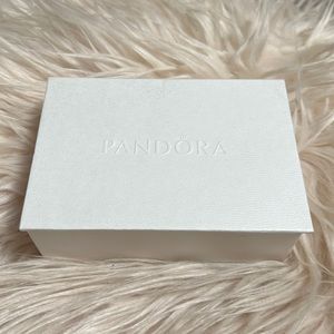 NWOT Pandora cleaning kit